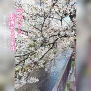 ヒメ日記 2025/04/05 15:53 投稿 るな 完熟ばなな西川口