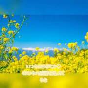 ヒメ日記 2025/04/07 10:13 投稿 るな 完熟ばなな西川口