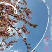 ヒメ日記 2025/04/14 17:12 投稿 るな 完熟ばなな西川口