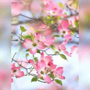 ヒメ日記 2025/04/18 09:00 投稿 るな 完熟ばなな西川口