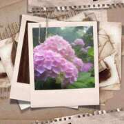 ヒメ日記 2025/05/02 09:39 投稿 るな 完熟ばなな西川口