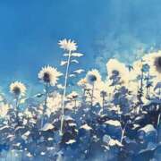 ヒメ日記 2025/05/20 09:41 投稿 るな 完熟ばなな西川口