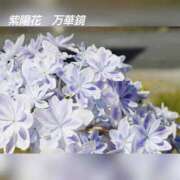 ヒメ日記 2025/06/11 17:09 投稿 るな 完熟ばなな西川口