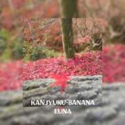 ヒメ日記 2025/09/20 09:41 投稿 るな 完熟ばなな西川口