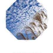 ヒメ日記 2025/09/23 09:50 投稿 るな 完熟ばなな西川口