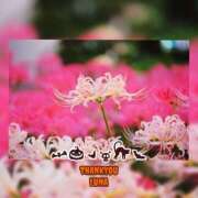 ヒメ日記 2025/10/30 17:27 投稿 るな 完熟ばなな西川口