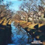 ヒメ日記 2025/12/21 09:29 投稿 るな 完熟ばなな西川口