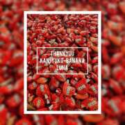 ヒメ日記 2025/12/30 08:47 投稿 るな 完熟ばなな西川口