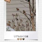 ヒメ日記 2026/02/09 09:02 投稿 るな 完熟ばなな西川口