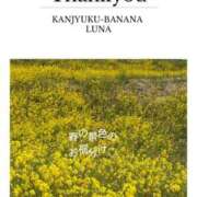ヒメ日記 2026/03/14 09:27 投稿 るな 完熟ばなな西川口