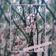 ヒメ日記 2026/03/18 10:09 投稿 るな 完熟ばなな西川口