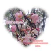 ヒメ日記 2026/03/29 08:17 投稿 るな 完熟ばなな西川口