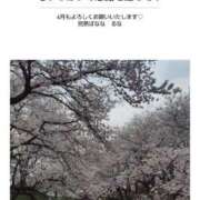 ヒメ日記 2026/04/01 08:51 投稿 るな 完熟ばなな西川口