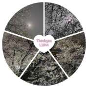 ヒメ日記 2026/04/03 09:23 投稿 るな 完熟ばなな西川口