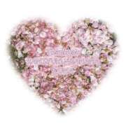 ヒメ日記 2026/04/05 09:28 投稿 るな 完熟ばなな西川口