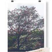 ヒメ日記 2026/04/13 17:15 投稿 るな 完熟ばなな西川口