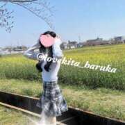 ヒメ日記 2025/04/12 22:19 投稿 遥【ハルカ】 LOVEキタ兎我野店