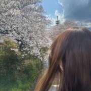 ヒメ日記 2025/04/08 17:39 投稿 ☆Elsa☆【エルサ】 LOVEキタ兎我野店