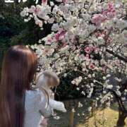 ヒメ日記 2025/04/13 14:39 投稿 ☆Elsa☆【エルサ】 LOVEキタ兎我野店