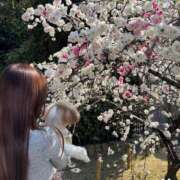 ヒメ日記 2025/04/17 13:29 投稿 ☆Elsa☆【エルサ】 LOVEキタ兎我野店