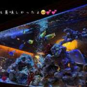 ヒメ日記 2025/05/27 20:59 投稿 ☆Elsa☆【エルサ】 LOVEキタ兎我野店