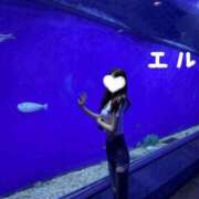 ヒメ日記 2025/07/18 23:20 投稿 ☆Elsa☆【エルサ】 LOVEキタ兎我野店