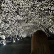 ヒメ日記 2026/04/21 22:15 投稿 ☆Elsa☆【エルサ】 LOVEキタ兎我野店