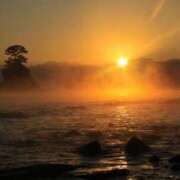 ヒメ日記 2025/01/02 12:42 投稿 不破　すみれこ エテルナ京都