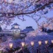 ヒメ日記 2025/01/31 23:11 投稿 不破　すみれこ エテルナ京都