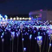 ヒメ日記 2025/02/11 20:52 投稿 不破　すみれこ エテルナ京都