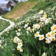 ヒメ日記 2025/02/17 16:43 投稿 不破　すみれこ エテルナ京都