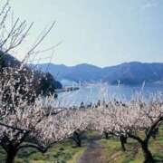 ヒメ日記 2025/03/10 18:21 投稿 不破　すみれこ エテルナ京都