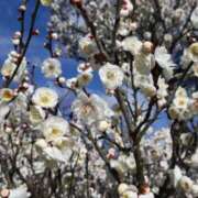 ヒメ日記 2025/03/13 09:36 投稿 不破　すみれこ エテルナ京都