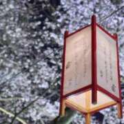 ヒメ日記 2025/03/27 19:39 投稿 不破　すみれこ エテルナ京都