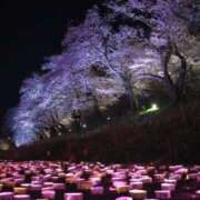 ヒメ日記 2025/03/28 18:21 投稿 不破　すみれこ エテルナ京都