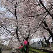 ヒメ日記 2025/03/31 11:35 投稿 不破　すみれこ エテルナ京都