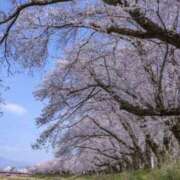 ヒメ日記 2025/04/07 07:58 投稿 不破　すみれこ エテルナ京都