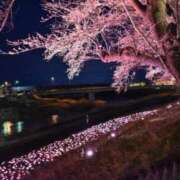 ヒメ日記 2025/04/07 19:08 投稿 不破　すみれこ エテルナ京都