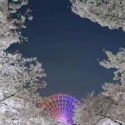 ヒメ日記 2025/04/09 21:56 投稿 不破　すみれこ エテルナ京都