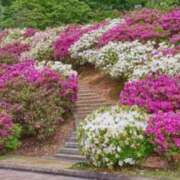 ヒメ日記 2025/05/04 08:08 投稿 不破　すみれこ エテルナ京都