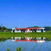 ヒメ日記 2025/05/29 09:15 投稿 不破　すみれこ エテルナ京都