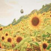 ヒメ日記 2025/07/20 10:25 投稿 不破　すみれこ エテルナ京都