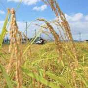 ヒメ日記 2025/09/22 19:51 投稿 不破　すみれこ エテルナ京都