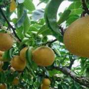 ヒメ日記 2025/09/27 08:19 投稿 不破　すみれこ エテルナ京都