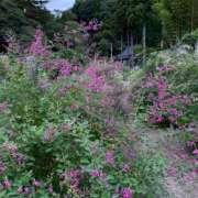 ヒメ日記 2025/10/04 14:29 投稿 不破　すみれこ エテルナ京都