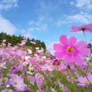 ヒメ日記 2025/10/10 08:45 投稿 不破　すみれこ エテルナ京都