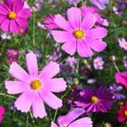 ヒメ日記 2025/11/01 09:37 投稿 不破　すみれこ エテルナ京都