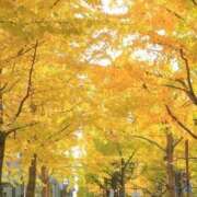 ヒメ日記 2025/11/22 21:55 投稿 不破　すみれこ エテルナ京都