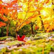 不破　すみれこ お身体冷えませんように。 エテルナ京都