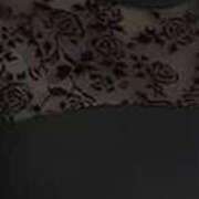 ヒメ日記 2025/12/15 09:43 投稿 不破　すみれこ エテルナ京都